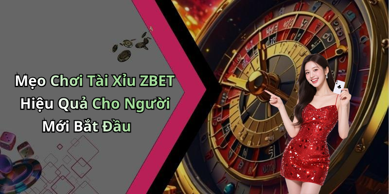 Mẹo Chơi Tài Xỉu ZBET Hiệu Quả Cho Người Mới Bắt Đầu